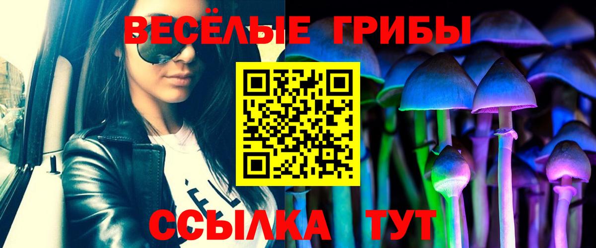 Псилоцибиновые грибы GOLDEN TEACHER  Вход с VPN  Балашиха 