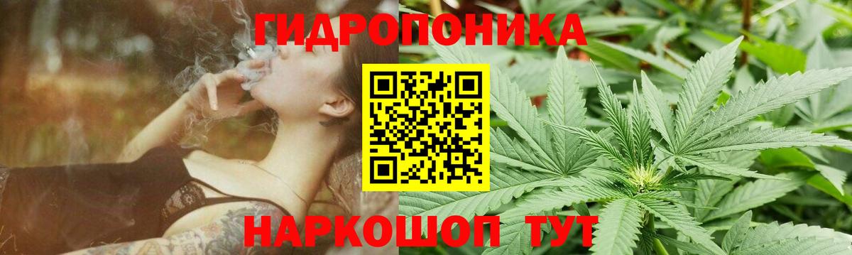 Конопля гибрид  Вход с VPN  Балашиха  Бошки марихуана THC 21% 